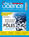 Le grand "bloom" du plancton végétal