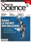 Futur du nucléaire : la question cruciale du cycle du combustible