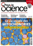 "La géo-ingénierie risque de retarder la réduction des émissions"