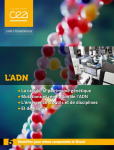 L'ADN