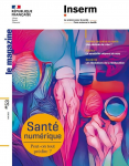 Dérives sectaires en santé : une période de crise ?