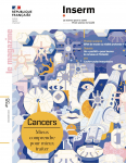 Cancers : mieux comprendre pour mieux traiter