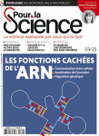 "Avec Sapiens, quelque chose a changé dans la lignée humaine : ces gens-là allaient où ils voulaient !"